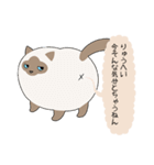 おならで喋るねこ（りゅうへい）（個別スタンプ：22）