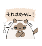 おならで喋るねこ（りゅうへい）（個別スタンプ：36）