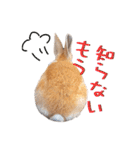 うさぎちゃんたちの日常（個別スタンプ：5）