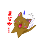ねこたんの日常スタンプ（個別スタンプ：2）