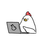 英語ニワトリ-english chicken（個別スタンプ：11）