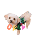 We♡elmo！（個別スタンプ：1）