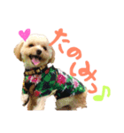 We♡elmo！（個別スタンプ：13）