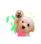 We♡elmo！（個別スタンプ：15）