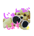 We♡elmo！（個別スタンプ：16）