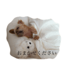 ケイティスタンプ2（個別スタンプ：6）