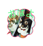 全猫のリーダー -HANAPOCHI-（個別スタンプ：8）