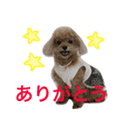 いおたん2（個別スタンプ：5）