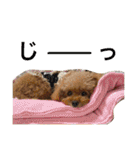 いおたん2（個別スタンプ：10）