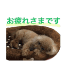 いおたん2（個別スタンプ：11）