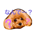 いおたん2（個別スタンプ：17）