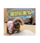 いおたん2（個別スタンプ：18）