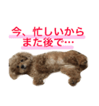 いおたん2（個別スタンプ：19）