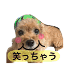 いおたん2（個別スタンプ：24）