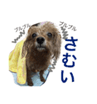 いおたん2（個別スタンプ：30）