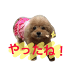 いおたん2（個別スタンプ：33）