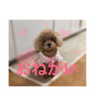 いおたん2（個別スタンプ：34）