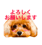 いおたん2（個別スタンプ：35）