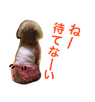 いおたん2（個別スタンプ：36）