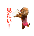 いおたん2（個別スタンプ：38）