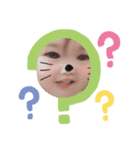 智哉.悠奈（個別スタンプ：6）