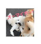 ふくの一言 1（個別スタンプ：3）