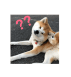 ふくの一言 1（個別スタンプ：9）