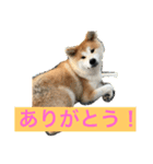 ふくの一言 1（個別スタンプ：13）