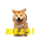 ふくの一言 1（個別スタンプ：18）