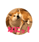 ふくの一言 1（個別スタンプ：20）