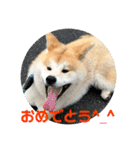 ふくの一言 1（個別スタンプ：21）