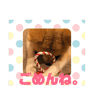 ふくの一言 1（個別スタンプ：24）