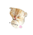 スコティッシュミミさん（個別スタンプ：2）