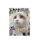 六華STAMP（個別スタンプ：4）