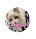 六華STAMP（個別スタンプ：5）