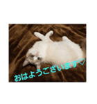六華STAMP（個別スタンプ：8）