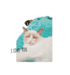六華STAMP（個別スタンプ：9）