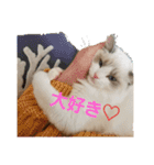 六華STAMP（個別スタンプ：12）