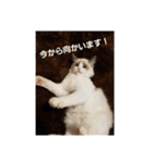 六華STAMP（個別スタンプ：13）