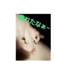 六華STAMP（個別スタンプ：14）