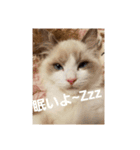 六華STAMP（個別スタンプ：17）