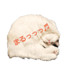 六華STAMP（個別スタンプ：22）