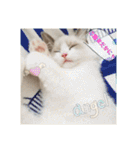 六華STAMP（個別スタンプ：28）