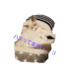 六華STAMP（個別スタンプ：29）