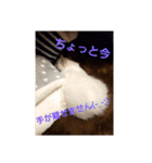 六華STAMP（個別スタンプ：34）