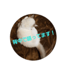 六華STAMP（個別スタンプ：39）