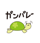 かめさんぽ（個別スタンプ：4）