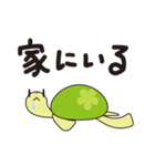 かめさんぽ（個別スタンプ：20）