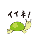 かめさんぽ（個別スタンプ：22）