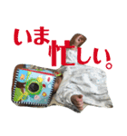 佐藤さんちのゆうくん（個別スタンプ：11）